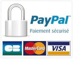 Paiement sécurisé - Paypal